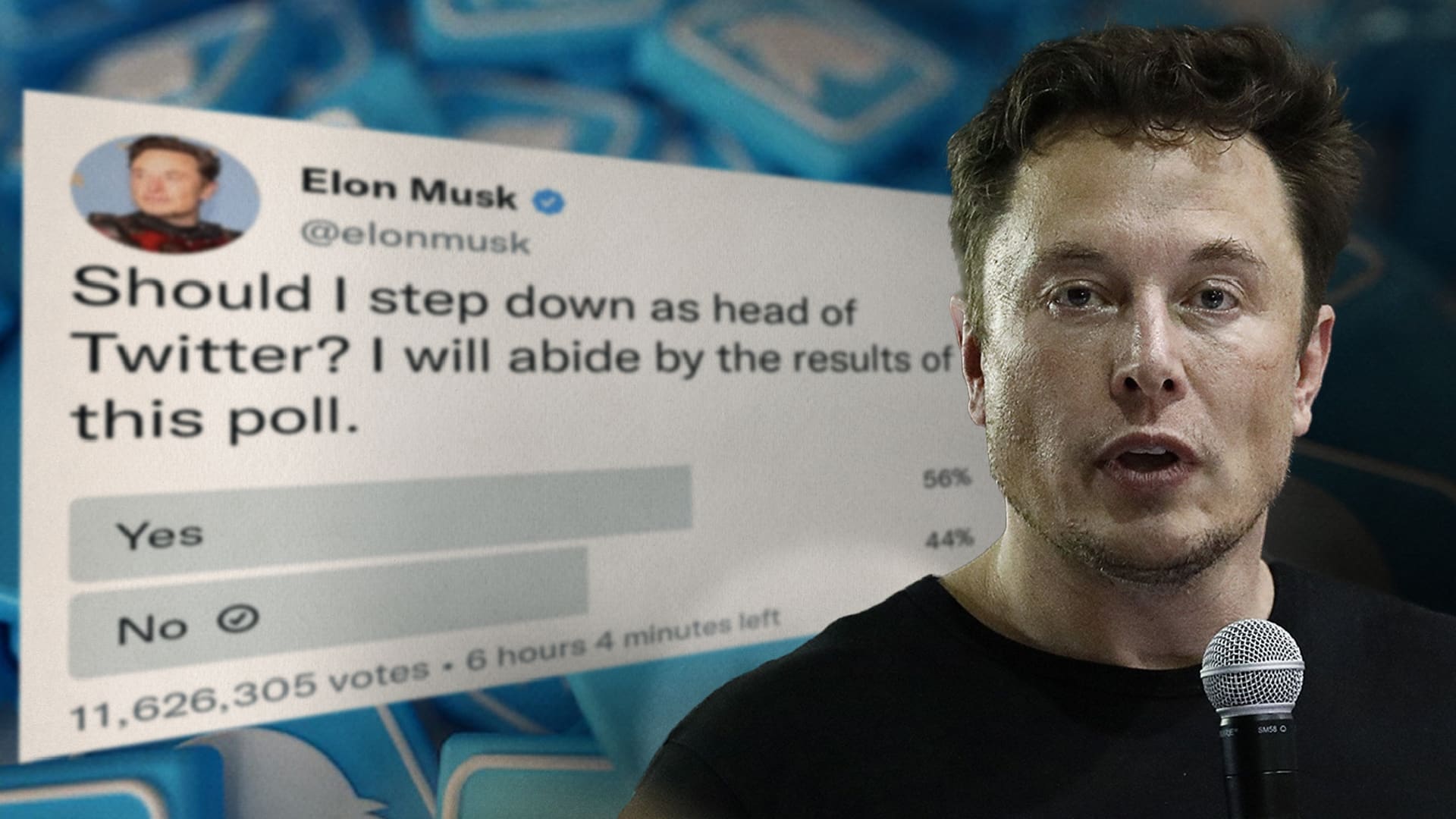 Elon Musks Resignation As Head Of Twitter After Bad Results On Poll