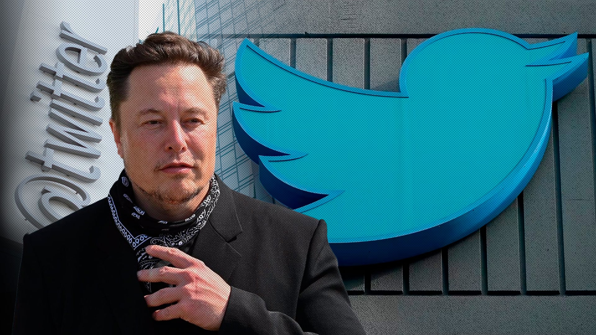 Elon Musk Announces New Twitter Ceo