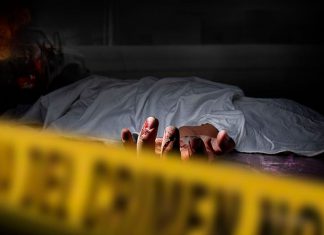 Mafias al Descubierto