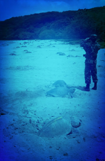 NICARAGUA: Santuario de tortugas marinas