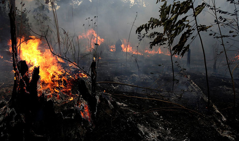 ¡ESCÁNDALO! Sepa cómo se organizaron las criminales quemas en la Amazonía
