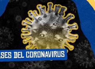 Fases del Coronavirus