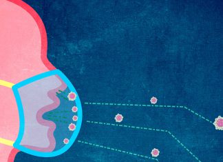 ¿Realmente son efectivas las mascarillas contra el coronavirus?