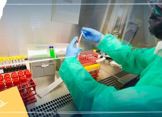 ¿Cuándo y quién creará la vacuna contra el Covid-19?