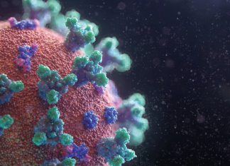 ¿El COVID-19 es la peor Pandemia?