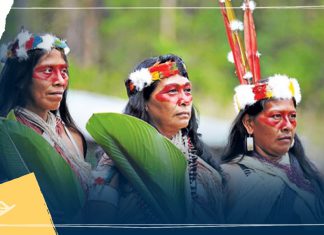ECUADOR: Comunidad Sapara en peligro de extinción por COVID-19