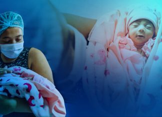 Aquí la vida triunfa