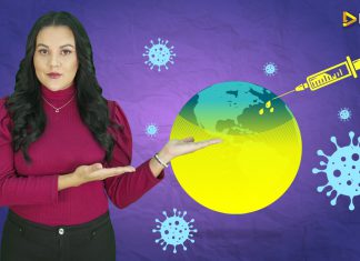 Sputnik-V: los pasos para aprobar una vacuna