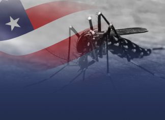 Estados Unidos liberará 750 millones de mosquitos
