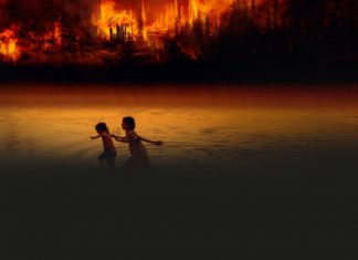 ¿Se extingue la vida en la Amazonia?