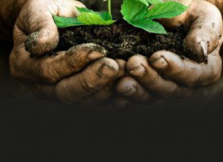 ¿Se quedará el planeta sin recursos naturales?