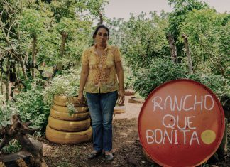 UN BONO PARA LA VIDA