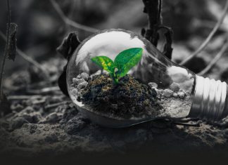 Élites acaban con el planeta