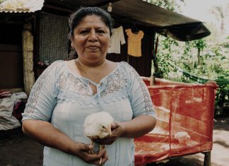 COSECHANDO LA FELICIDAD