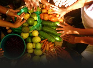 ¿Existirá seguridad alimentaria en América Latina?