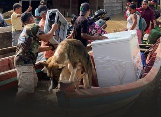 Prinzapolka: una lucha ante la tragedia