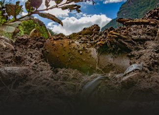 Macizo de Peñas Blancas: Testimonios de la tragedia