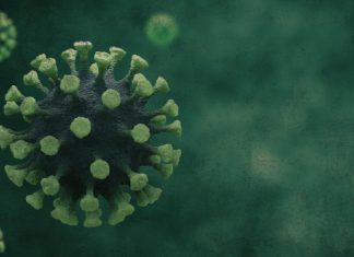 ¿Desaparecerá en 2021 la Covid-19?