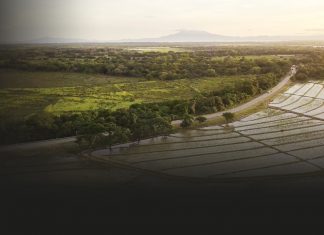 Nicaragua fortalece su sistema de producción