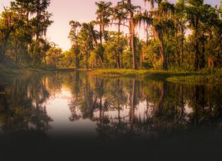 ¿Desaparecerán los humedales en latinoamérica?