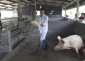 Nicaragua: la esperanza educativa en Centroamérica