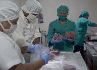 Mujeres que triunfan | Cooperativas a la vanguardia