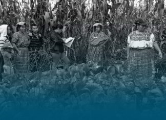 Guatemala: Lucha indígena por la Madre Tierra