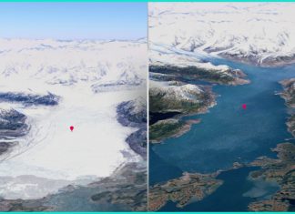 Revelan impactante deterioro de la Tierra en las últimas décadas