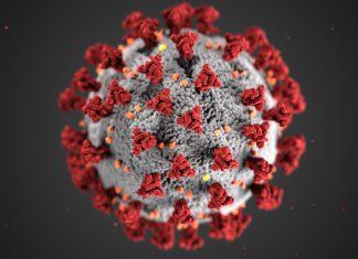 ¿Cómo evoluciona el Coronavirus?