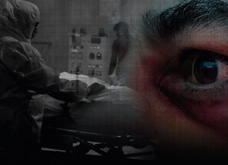 ¿Es mortal el Hongo Negro y cuáles son sus síntomas?