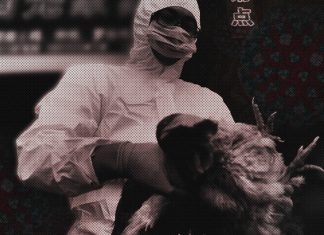 ¿Es una amenaza la gripe aviar H10N3? ¿Es una amenaza la gripe aviar H10N3?