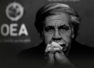 Credibilidad de la OEA a pique en Latinoamérica Credibilidad de la OEA a pique en Latinoamérica