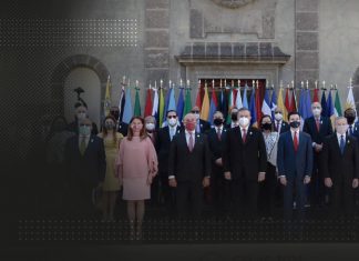 ¿Qué organismo podría sustituir a la OEA? ¿CELAC remplazará a la OEA?