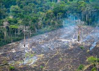 Recomiendan incrementar medidas para el cuido del planeta tierra Recomiendan incrementar medidas para el cuido del planeta tierra