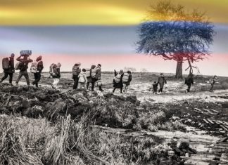 Naciones Unidas revela que los desplazamientos forzados aumentaron 181 % en Colombia