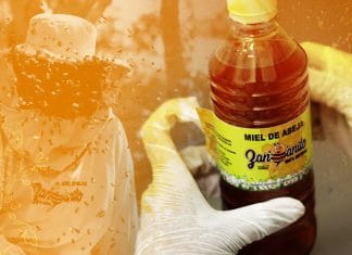 Nicaragua lleva a otro nivel su producción y comercialización apícola