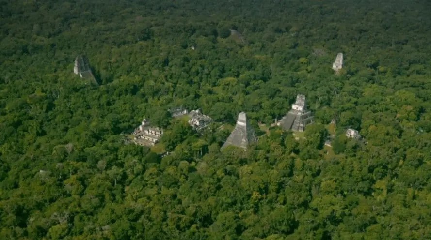 En el impresionante Parque Nacional Tikal, se encuentra una de las reconocidas ruinas o ciudades mayas más grandes de Mesoamérica. Foto: NY times
