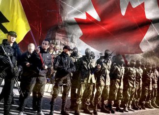 Revelan entrenamiento militar de Canadá a neonazis ucranianos Entrenamiento militar canadiense a ucranianos