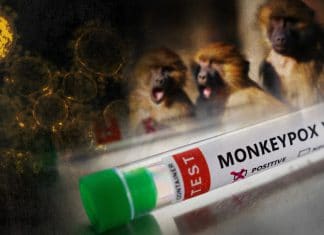 Claves de la Viruela del Mono: ¿Cómo se contagia? Cómo se contagia la viruela del mono