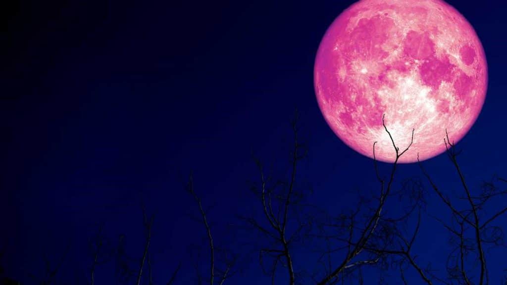 La Luna de Fresa, lleva este nombre relativo al tiempo de maduración de los frutos silvestres. Foto: Getty Images