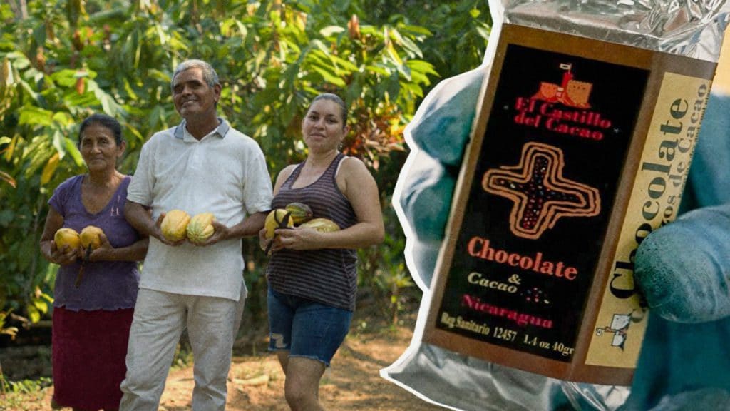 El Gobierno de Nicaragua, brinda acompañamiento a unos 13 mil productores de cacao a nivel nacional.