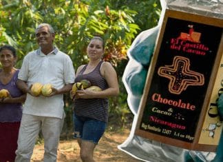 Nicaragua destaca mundialmente con su producción de cacao y exquisito chocolate