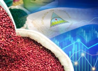 Nicaragua y las claves de su seguridad alimentaria Seguridad alimentaria en Nicaragua 2022