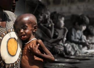 ONU: Más de 45 millones de niños en el mundo padecen hambre y malnutrición