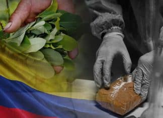 Colombia cancela erradicación forzada de cultivos de coca