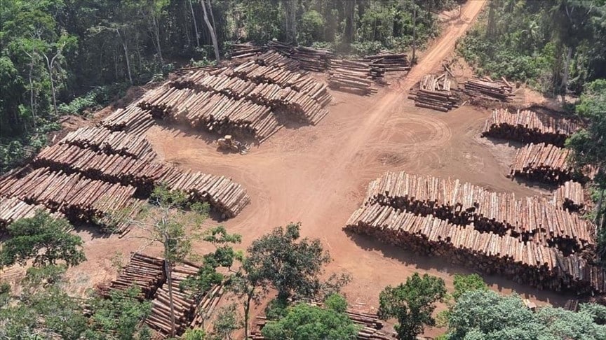 La deforestación de la Amazonia, también ha sido objeto de críticas al gobierno de Bolsonaro. Foto: Ejército de Brasil