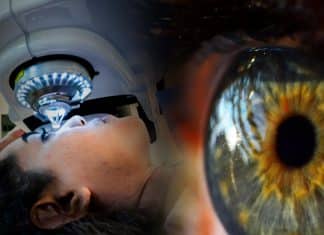 Córnea con células de cerdo devolvería vista a millones de personas