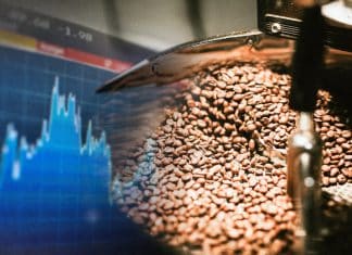 Precio del café tiende a elevar, por mala cosecha en Brasil