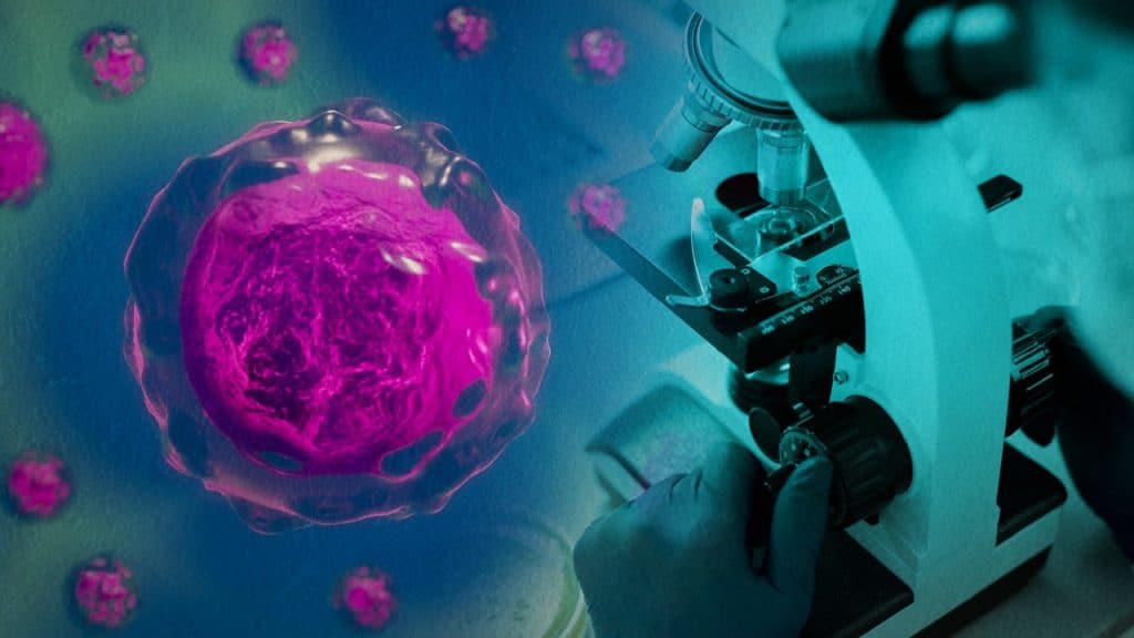 Las células sintéticas creadas por científicos cumplen con funciones similares a las vivas.