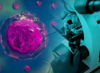 Científicos crean células artificiales similares a las vivas